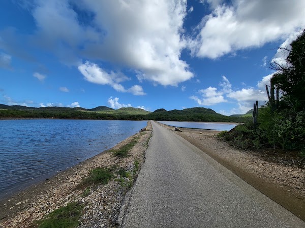 Goto Lake 2