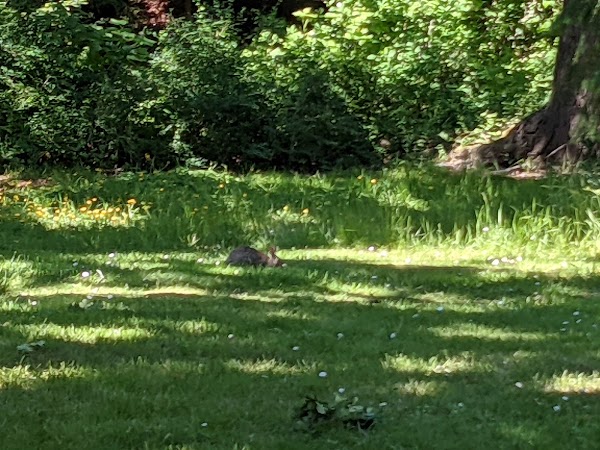 Seward Park
