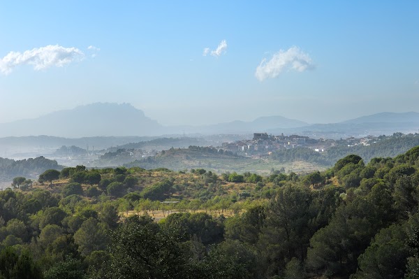 Parc Natural de la Serra de Collserola