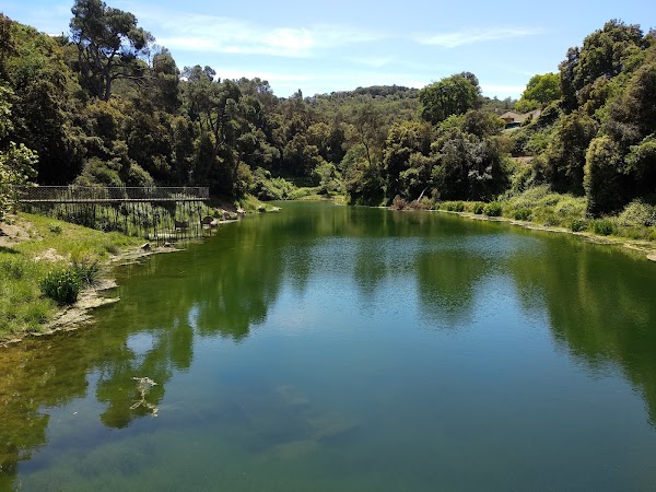 Parc Natural de la Serra de Collserola 5