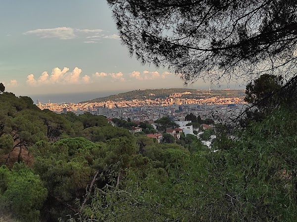 Parc Natural de la Serra de Collserola 3