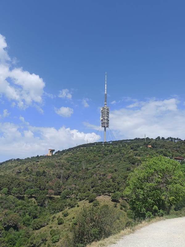 Parc Natural de la Serra de Collserola 2