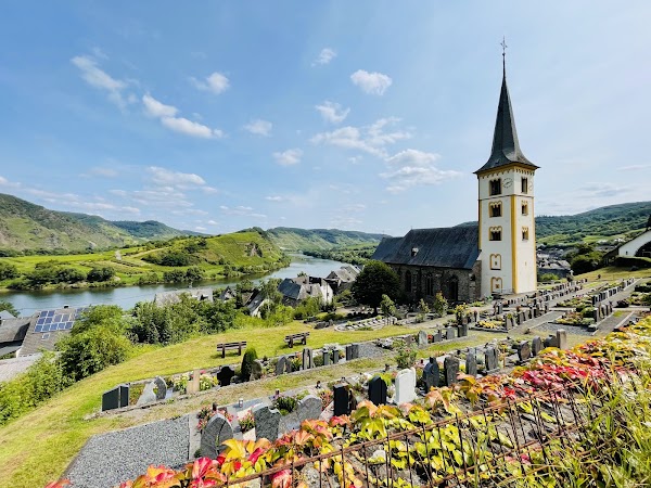 Moselschleife Bremm Aussichtspunkt 4