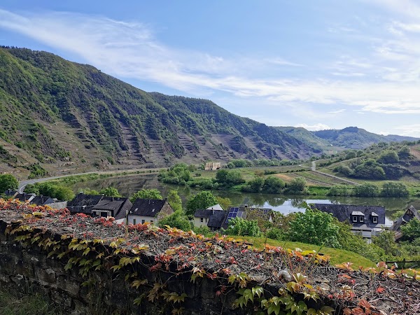 Moselschleife Bremm Aussichtspunkt 2