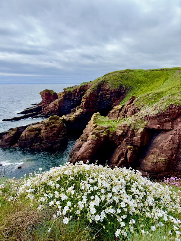 Angus Coast Trail