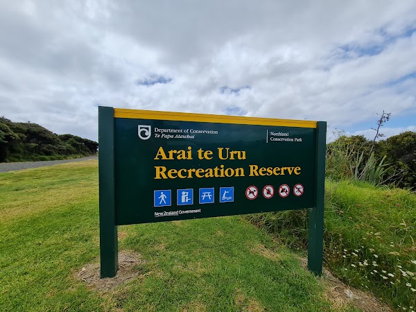 Arai te Uru Nature Reserve 1
