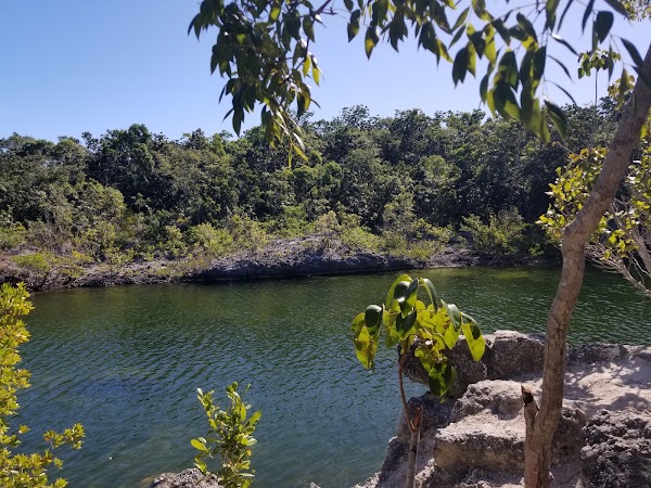 Dagny Johnson Key Largo Hammock Botanical State Park
