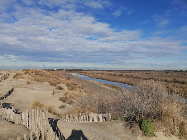 Plage de l'Espiguette 5