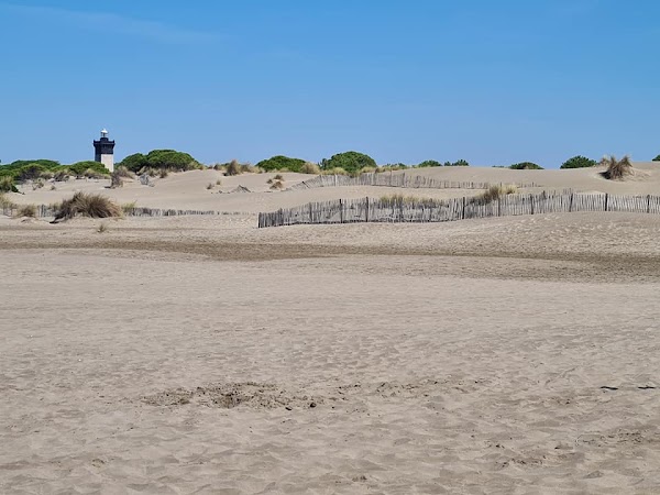 Plage de l'Espiguette 4