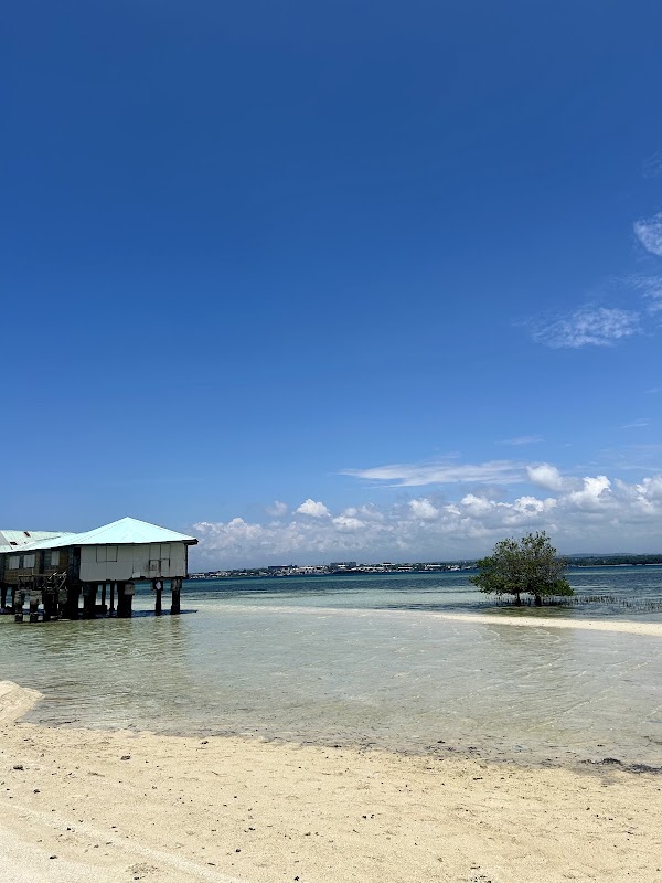 Vanishing Island 1