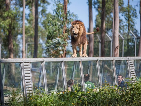 Zoo Santo Inácio 5