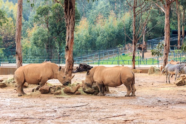 Zoo Santo Inácio 4