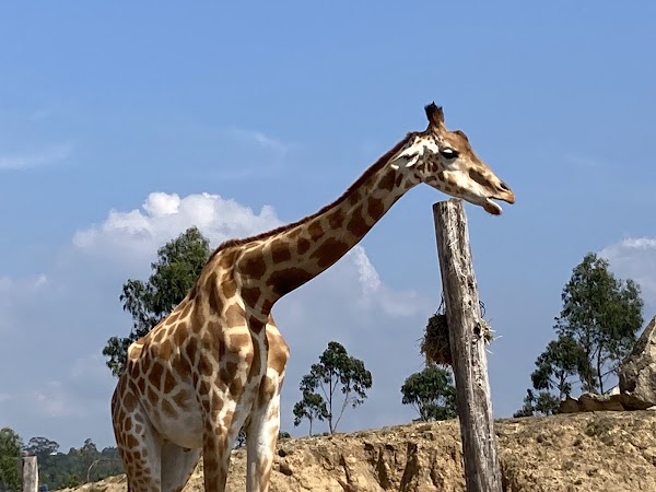 Zoo Santo Inácio 3