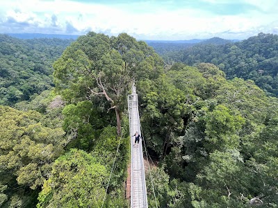 Ulu Temburong National Park
