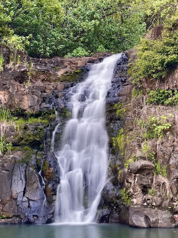 Waimea Falls 1