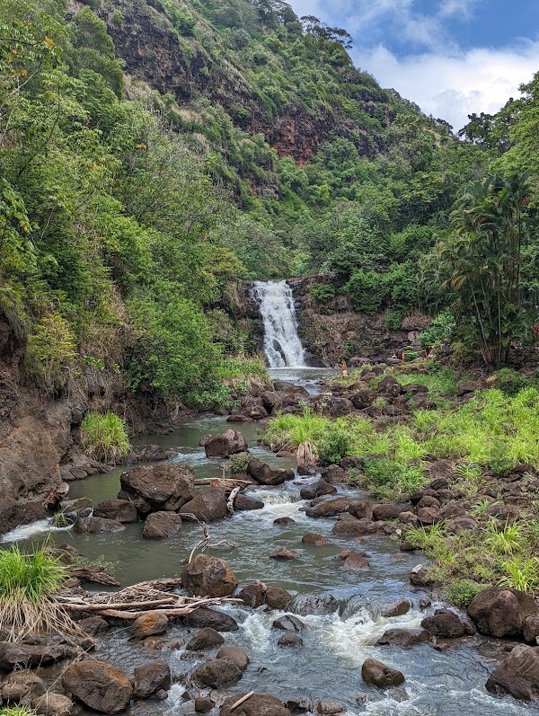 Waimea Falls 5