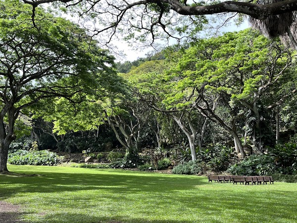 Waimea Falls 4