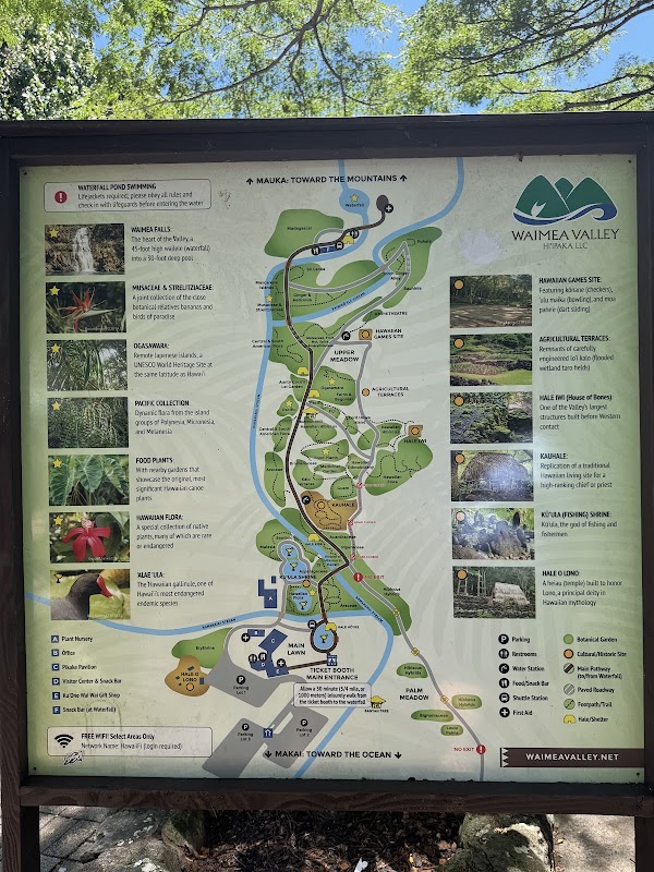 Waimea Falls 3
