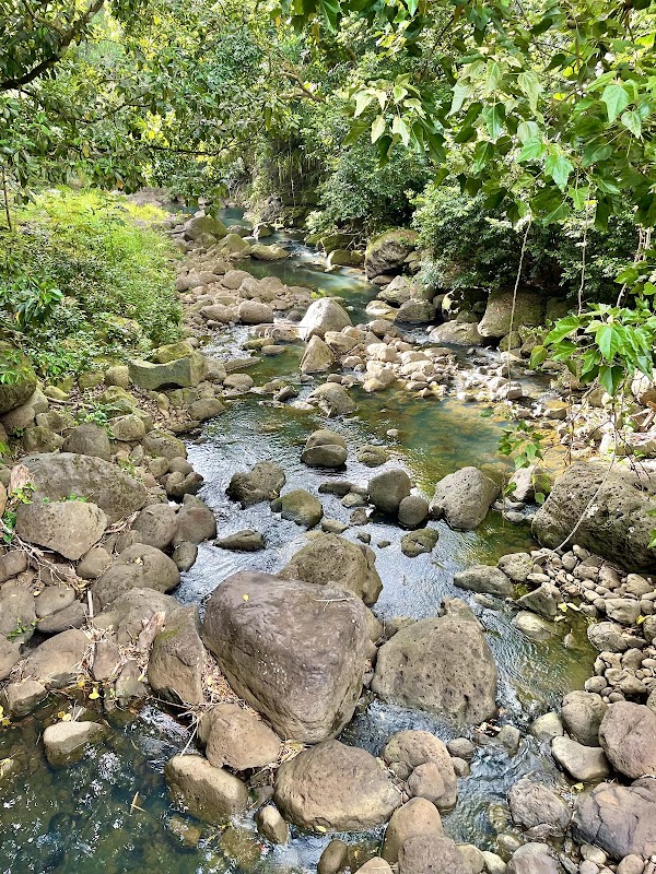 Waimea Falls 2