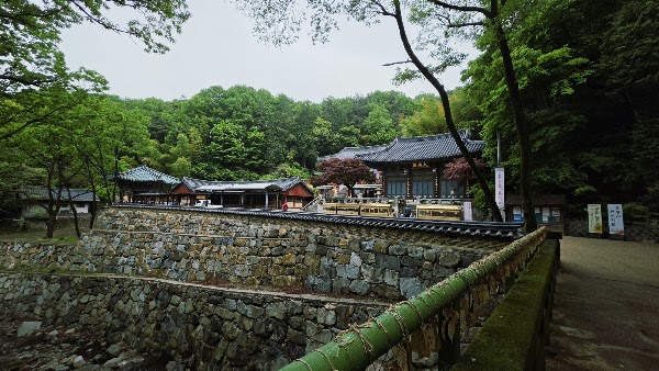 Honglyongsa 5