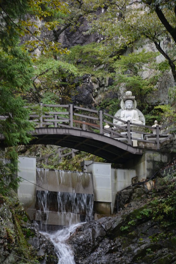 Honglyongsa 4