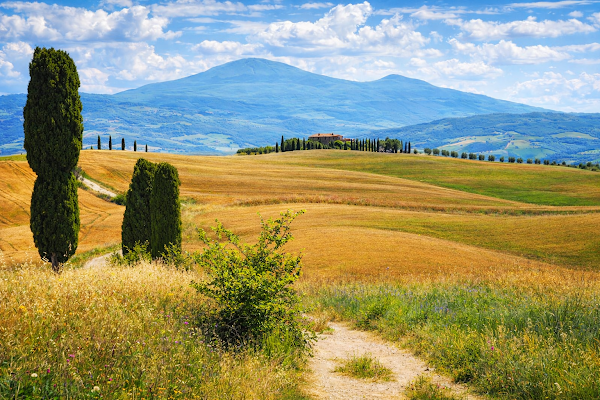 Tuscany 3