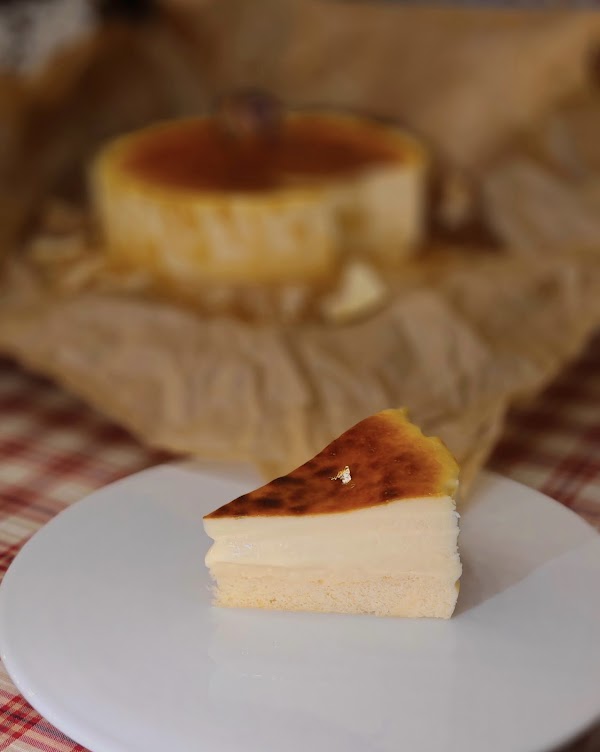 Plus65 Cheesecake 3