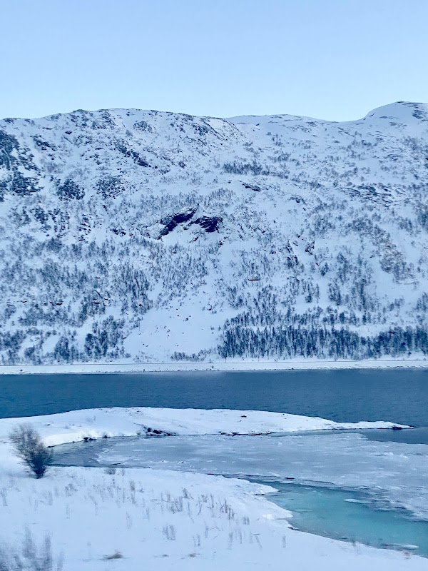 Alta