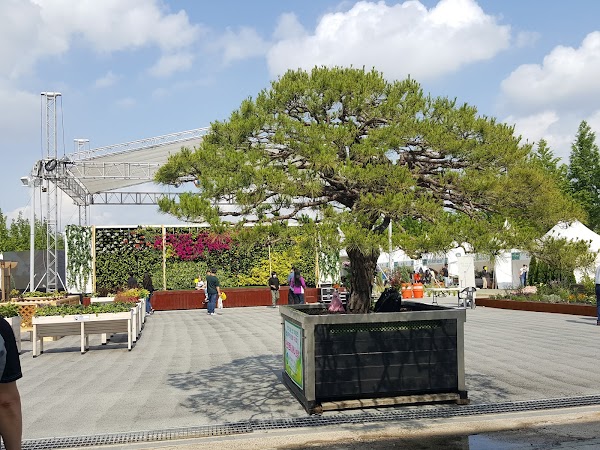 Jeonju-si 4