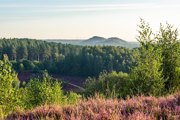 Mechelse Heide