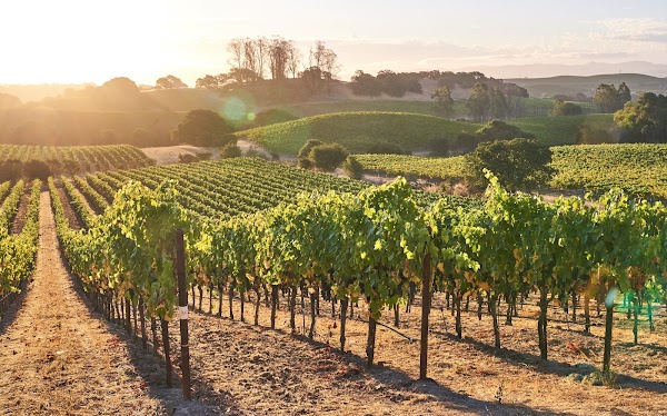 Hudson Napa Valley 5