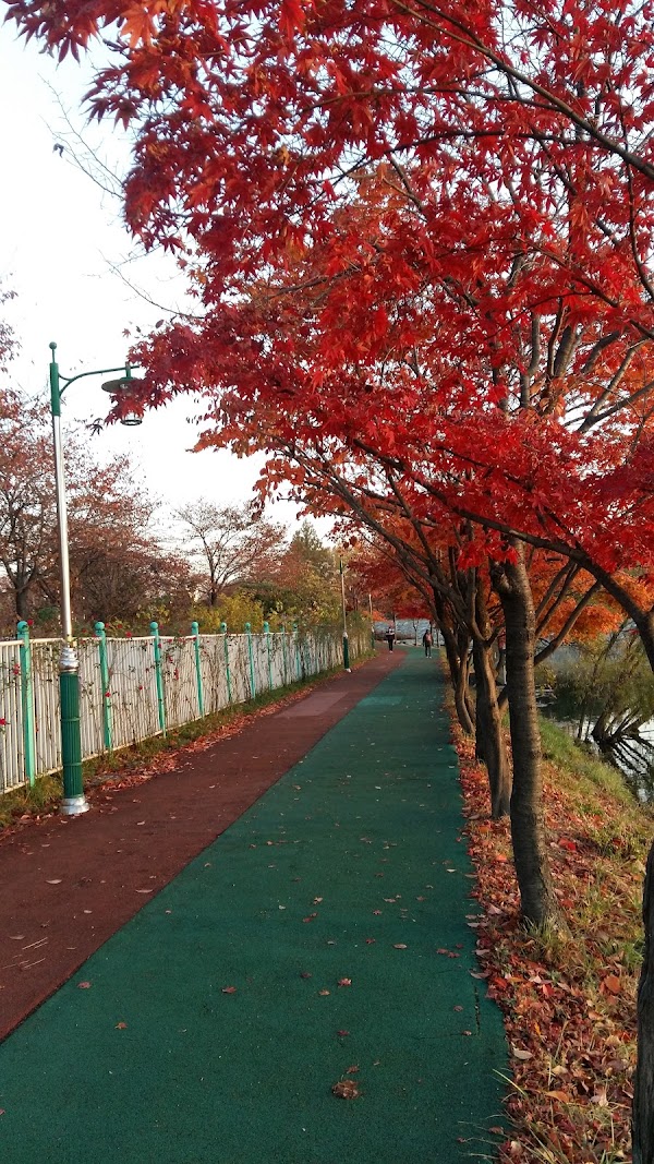 Seoho Park