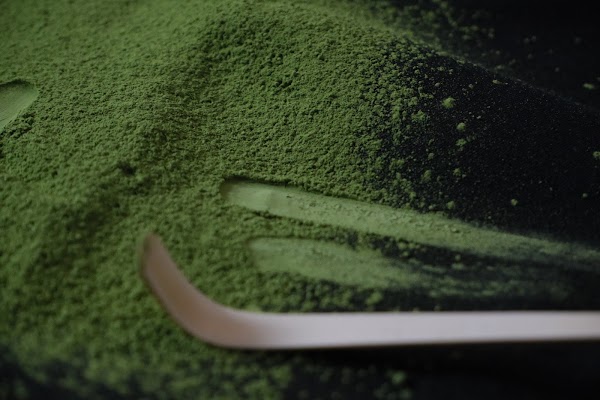 Oasis Matcha 4
