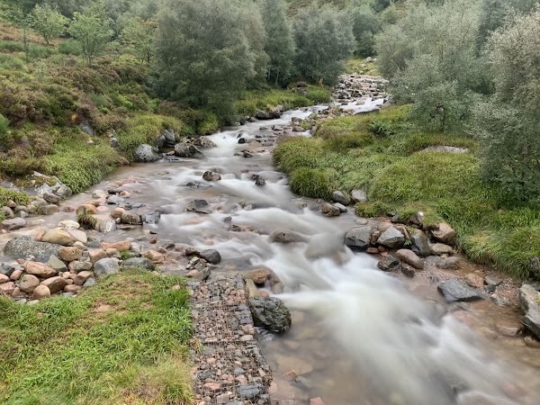 Cairngorm Herd 2