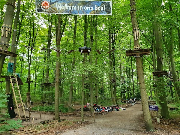 Het Amsterdamse Bos 2