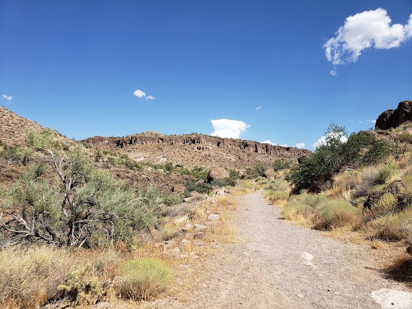 White Cliffs Wagon Trail 1