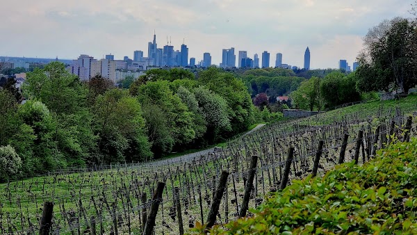Lohrberg (Frankfurt)