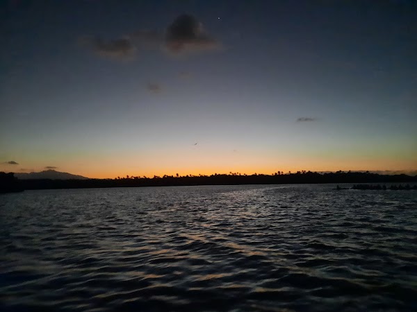Bio Island BioBay in boat