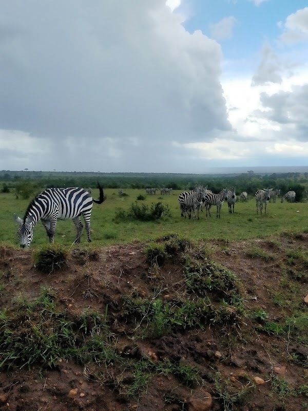 Mara Toto Tree Camp 2