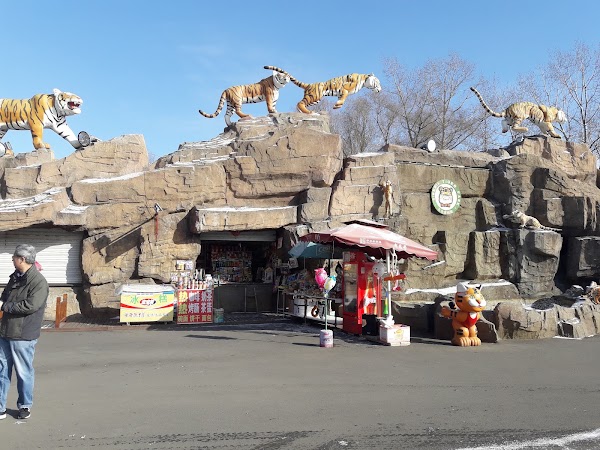Harbin 2