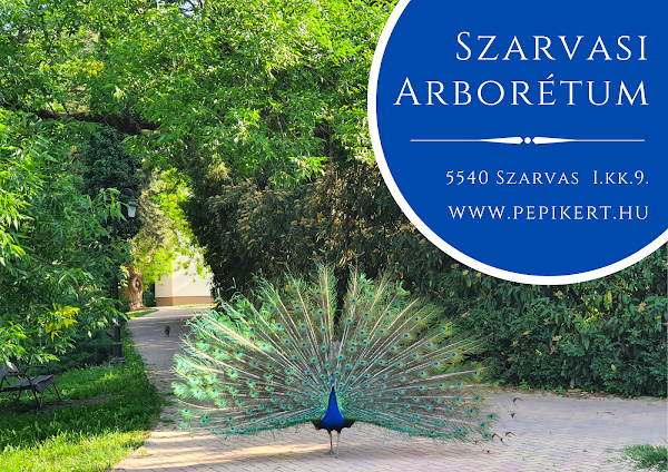 Szarvasi Arborétum 1