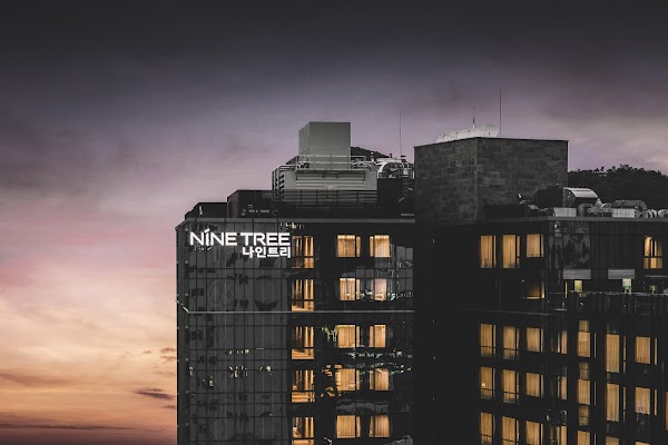 Nine Tree by Parnas Seoul Insadong 1