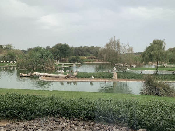 Dubai 64