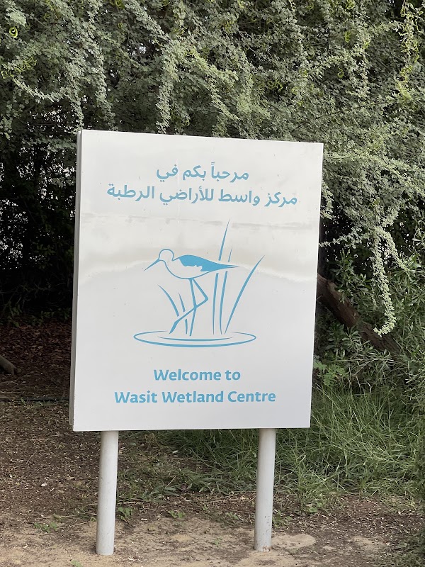 Wasit Wetland Nature Park | منتزه واسط للأراضي الرطبة 2