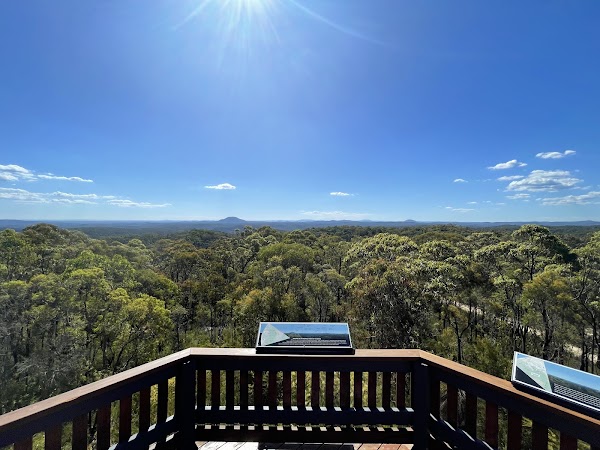 Finchley Lookout