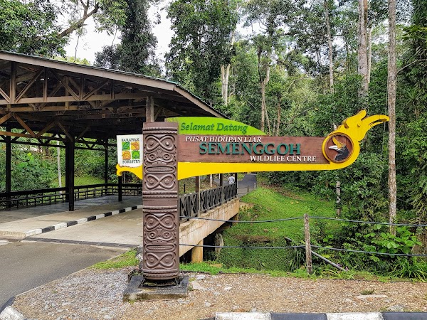 Semenggoh Wildlife Centre 1