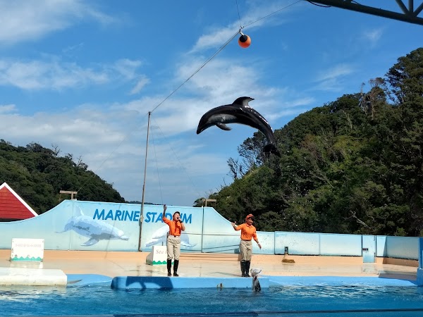 Shimoda Floating Aquarium 4
