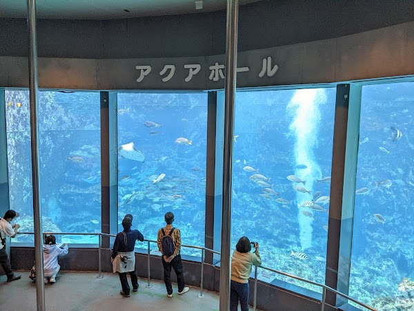 Shimoda Floating Aquarium 2