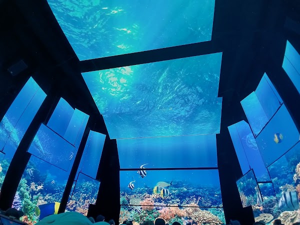 Australia Pavilion 4