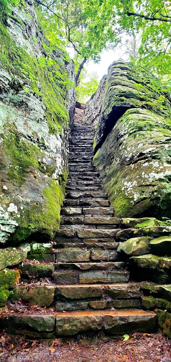 Bell Smith Springs Scenic Area 1